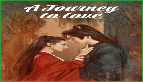 A Journey Of Love, Support, And Creative Endeavors